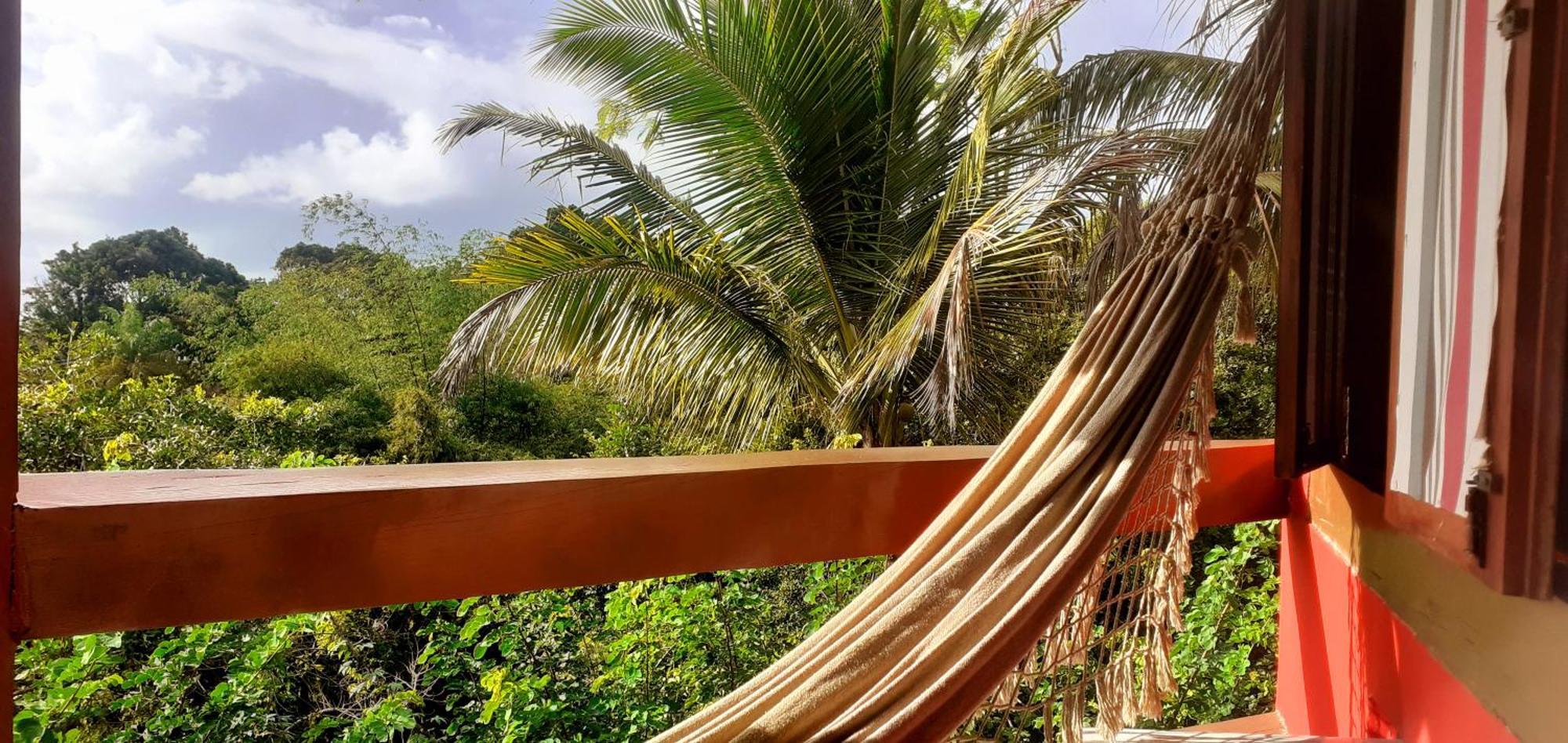 Novos Baianos Hostel E Pousada ปอร์โตเซกูโร ภายนอก รูปภาพ Hammock in the Caribbean