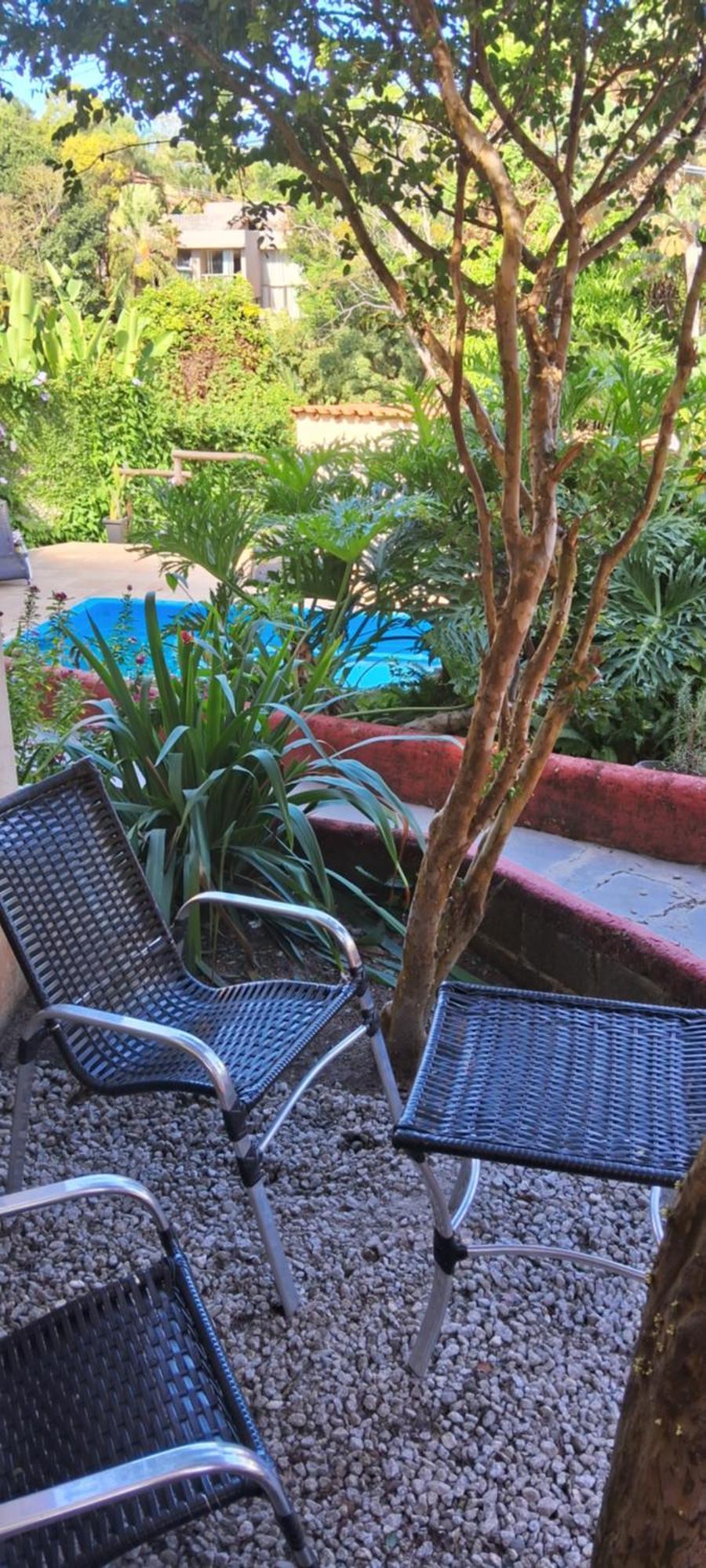 Novos Baianos Hostel E Pousada ปอร์โตเซกูโร ภายนอก รูปภาพ A yucca plant in a garden