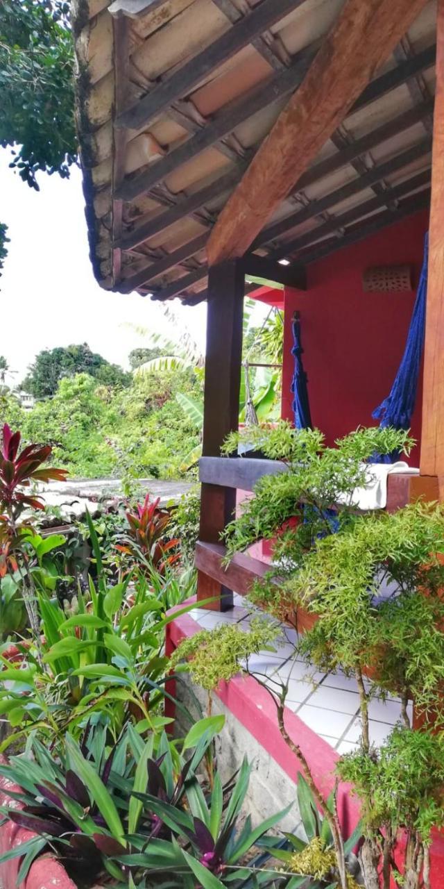 Novos Baianos Hostel E Pousada ปอร์โตเซกูโร ภายนอก รูปภาพ A view of the garden at the hotel